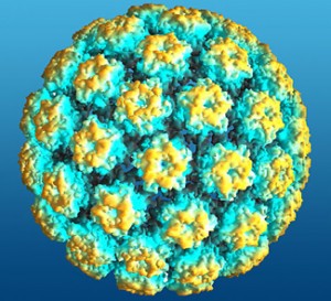 HPV-câncer